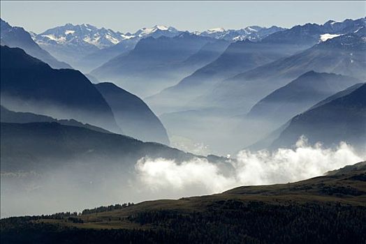薄雾,上方,茵谷,因河,山谷,奥地利,欧洲