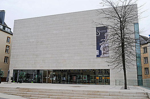 国家博物馆,历史,艺术,卢森堡,欧洲