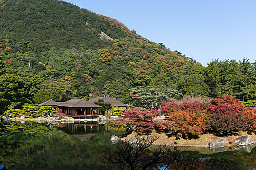 日本,花园