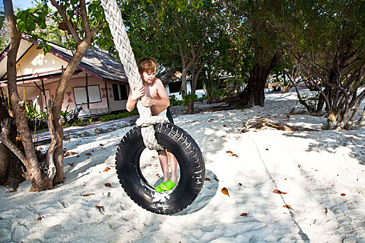 男孩,坐,秋千,老,轮胎,海滩,树