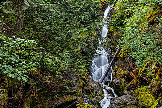 溪流,瀑布,靠近,纳尔逊,不列颠哥伦比亚省,加拿大,大幅,尺寸