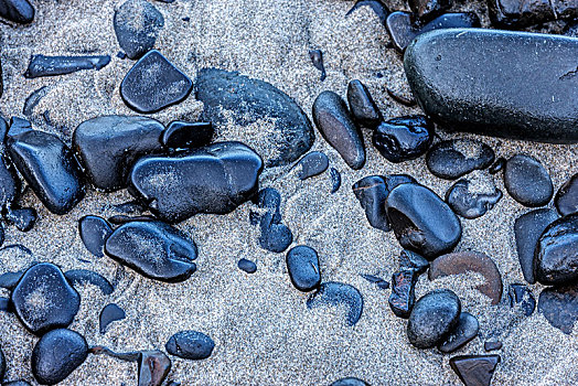 湿,石头,沙子,特写,海滩,俄勒冈