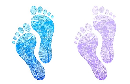 婴儿,脚印,蓝色,粉色,插画,设计,白色背景