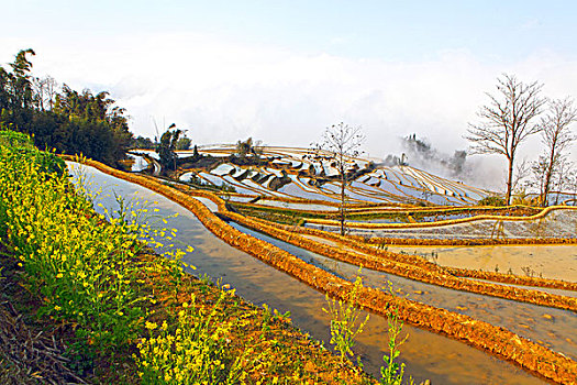 元阳梯田