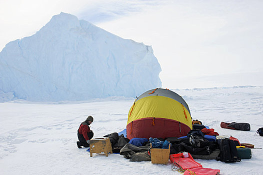 南极,威德尔海,雪丘岛,帐蓬,游客,迅速,冰