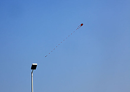 飞翔的风筝