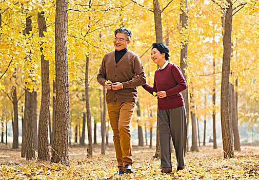 在银杏林散步的老年夫妻