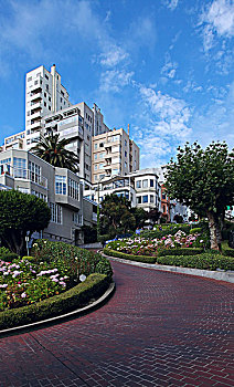 旧金山九曲花街,lombardstreet