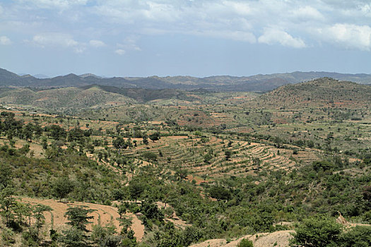 地点,草地,埃塞俄比亚