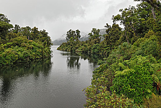湖,河,靠近,公路,南岛,新西兰