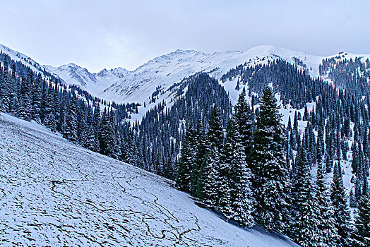 那拉提牧场雪景