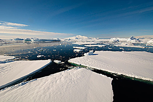 南极,南极半岛,靠近,阿德莱德,岛屿,浮冰,冰
