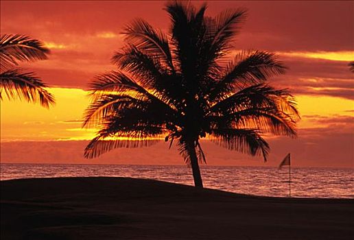 夏威夷,夏威夷大岛,瓦克拉,胜地,海滩,高尔夫球杆