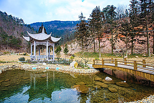 四明山,青虎湾岗,冬天,雪,山林