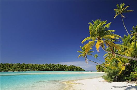 海滩,一个,脚,岛屿,艾图塔基泻湖,爱图塔基,库克群岛