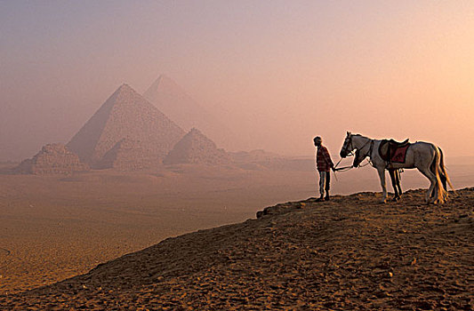 非洲,埃及,开罗,吉萨金字塔,黎明,马,引导