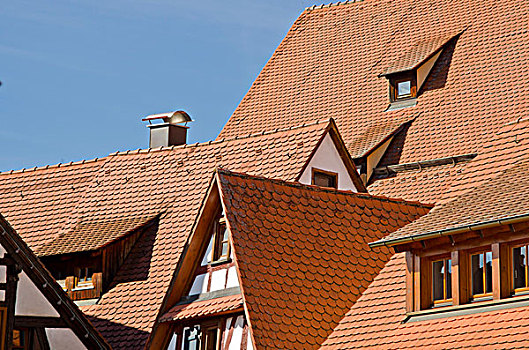 屋顶,巴登符腾堡,德国,欧洲