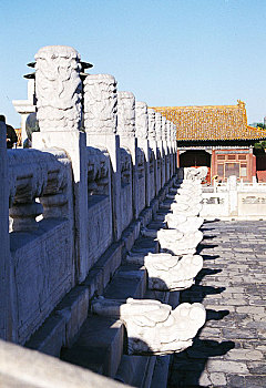 北京故宫太和殿云龙石柱