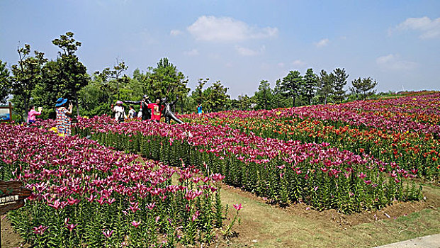 城市湿地