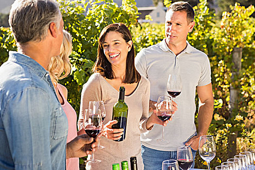 高兴,朋友,交谈,享受,葡萄酒,一起,葡萄,地点