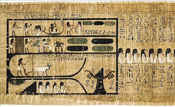 古埃及,书本,死,纸莎草,展示,书写,象形文字,艺术家,未知