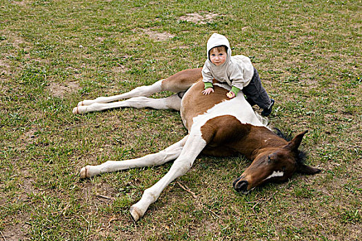 女婴,躺着,马,看镜头