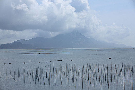 福建,霞浦,北岐渔船,俯瞰,竹竿,网,海产养殖,滩涂