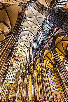 排,结构,柱子,拱顶天花板,室内,科隆大教堂,科隆,德国