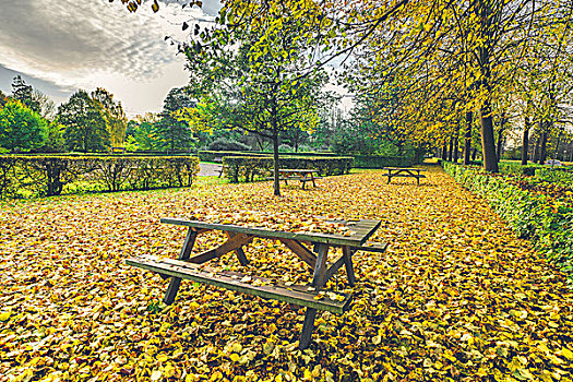 秋叶,长椅,公园,秋天,彩色,枫叶,黄色,十月