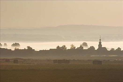 乡村,晨雾,黑森州,德国