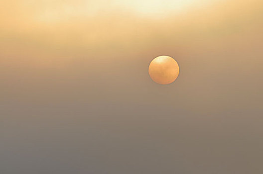 太阳,日出,雾,国家公园,梅克伦堡前波莫瑞州,德国,欧洲