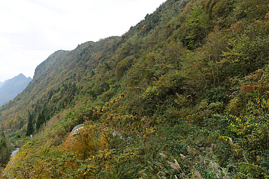 大山秋季风景