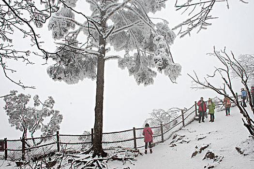 四川,峨眉山,冰雪雾凇,徐学哲摄影,尼康,年,月