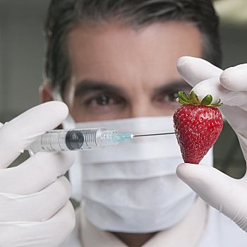 实验室人员,注射,草莓