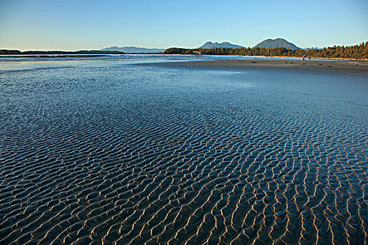 波纹,形态,沙子,海滩,岛屿,靠近,不列颠哥伦比亚省,加拿大