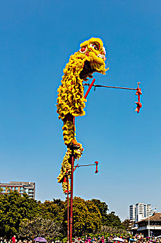 舞狮,春节,庆典,中国文化