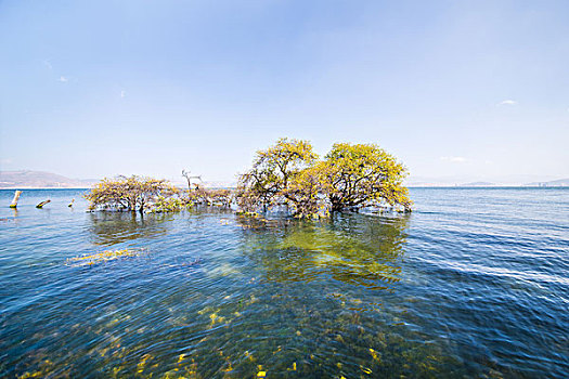 洱海湿地公园