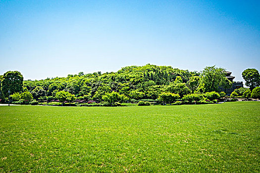 日出在美丽的公园