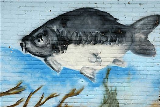 壁画,砖墙,鱼,游动,海中,荷兰南部,荷兰