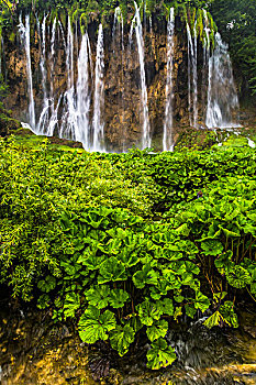 瀑布,茂密植被,十六湖国家公园,克罗地亚