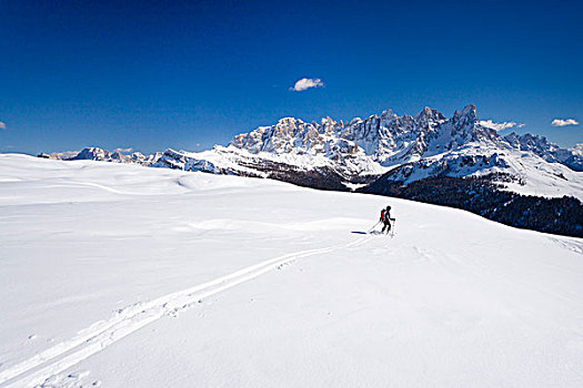 滑雪,下降,山,高处,背影,白云岩,特兰迪诺,意大利,欧洲
