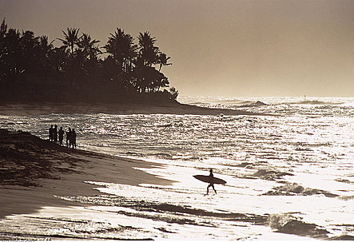 冲浪,板,海滩,北岸,夏威夷