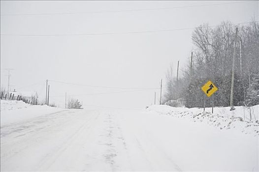 公路,冬天,安大略省,加拿大