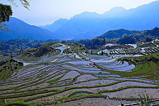 中国最美梯田,浙江丽水云和梯田