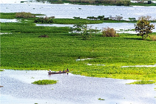 小,独木舟,亚马逊河