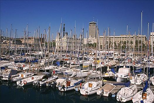 游艇,锚定,港口,巴塞罗那,加泰罗尼亚,西班牙