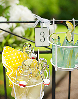 瓶子,柠檬水,铁丝篮,花园栅栏