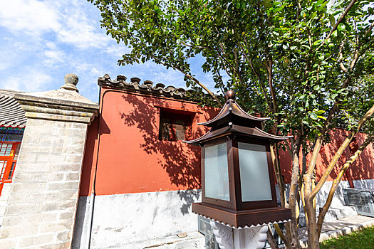北京故宫红墙,宫灯与古树,树影交相辉映