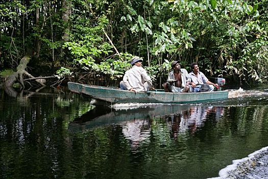 船,交通工具,河,雨林,南美