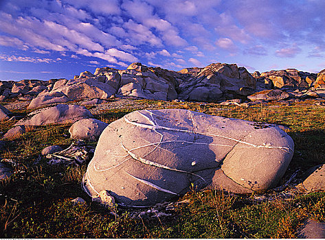 岩石,陆地,哈得逊湾,海岸,曼尼托巴,加拿大